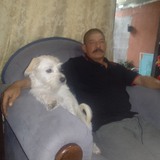 Bernardoseguif from San José | Man | 59 years old | Sagittarius