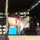 Silviocarvalbg from Peruibe | Man | 48 years old | Sagittarius