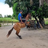 Raniellejose4H from Cipo | Man | 41 years old | Capricorn