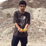 Amir from Fars | Man | 34 years old | Virgo