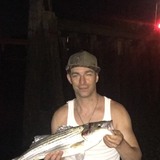 Bongo11 from Saint Albans | Man | 39 years old | Virgo