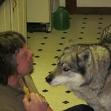 Tod from Glen Cove | Man | 51 years old | Libra