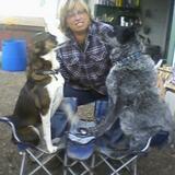 Kristi from Salisbury | Woman | 47 years old | Sagittarius