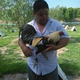 Carlosgamefoat from Tlacote el Bajo | Man | 49 years old | Pisces