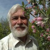 Владимир from Melitopol | Man | 79 years old | Leo