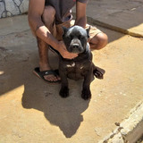 Jonass83 from Lapao | Man | 34 years old | Sagittarius