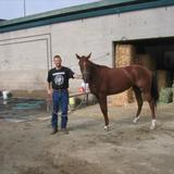 Harri from Merrick | Man | 33 years old | Sagittarius